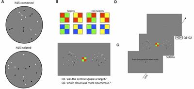 The Grouping-Induced Numerosity Illusion Is Attention-Dependent